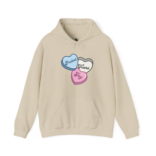 Protect Trans Joy Unisex Hoodie | Trans Pride & Solidarity Collection