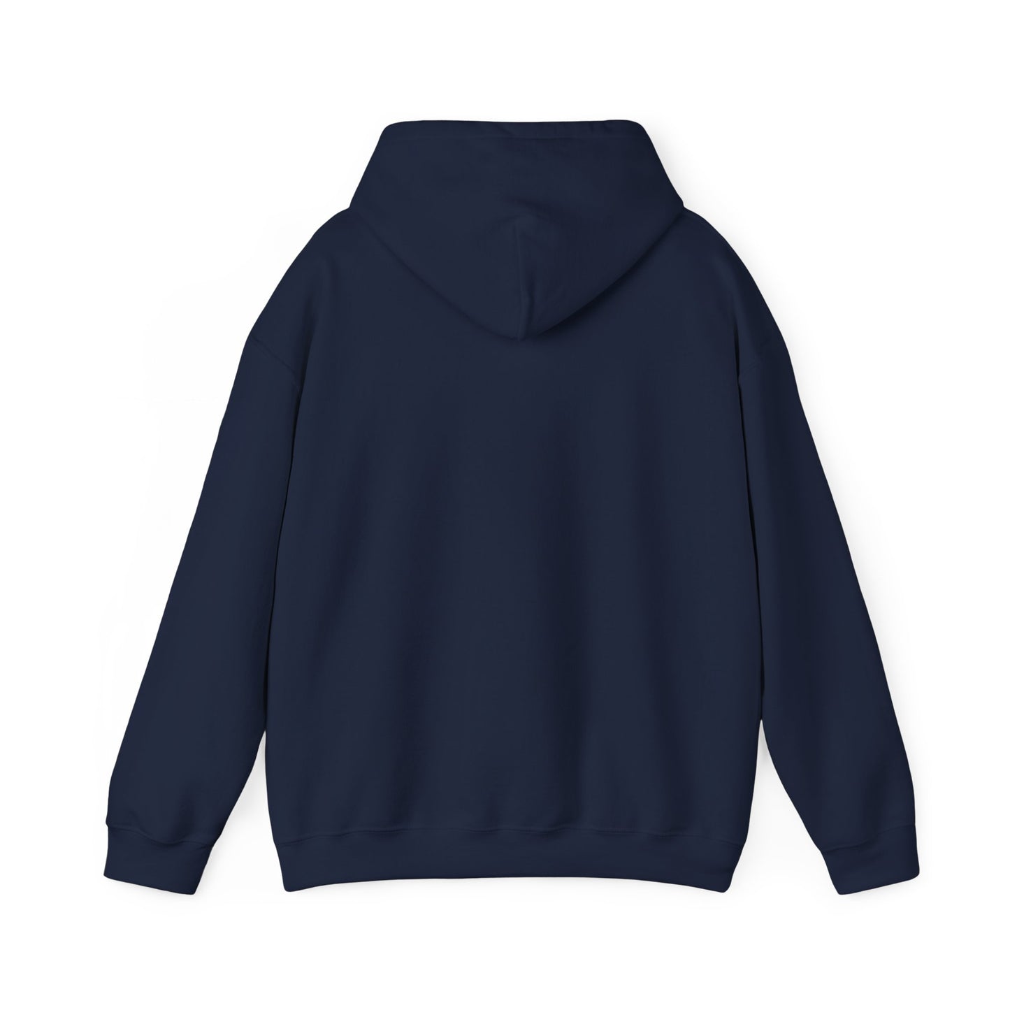 Walking Each Other Home Unisex Hoodie | Ram Dass Quote Hooded Sweatshirt | The Collective Flame Fund Collection