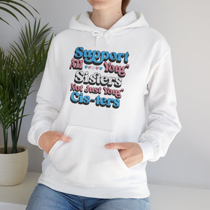Support All Your Sisters Unisex Hoodie | Trans Pride & Solidarity Collection