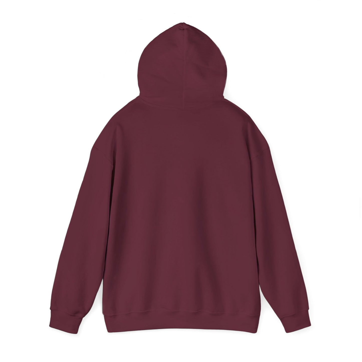 Walking Each Other Home Unisex Hoodie | Ram Dass Quote Hooded Sweatshirt | The Collective Flame Fund Collection