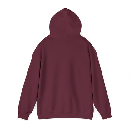 Walking Each Other Home Unisex Hoodie | Ram Dass Quote Hooded Sweatshirt | The Collective Flame Fund Collection