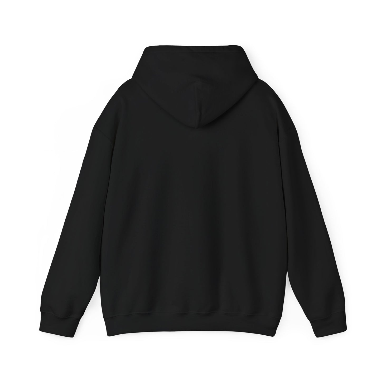 Walking Each Other Home Unisex Hoodie | Ram Dass Quote Hooded Sweatshirt | The Collective Flame Fund Collection