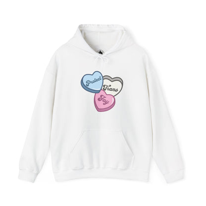 Protect Trans Joy Unisex Hoodie | Trans Pride & Solidarity Collection