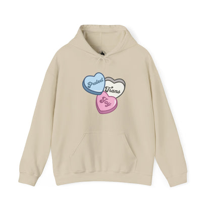 Protect Trans Joy Unisex Hoodie | Trans Pride & Solidarity Collection