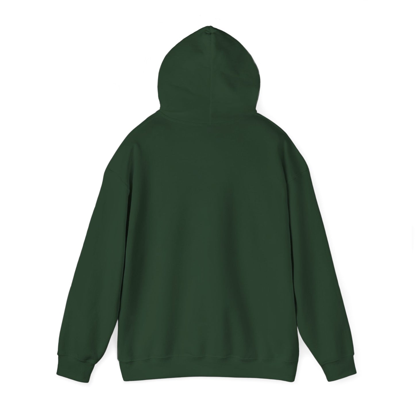Walking Each Other Home Unisex Hoodie | Ram Dass Quote Hooded Sweatshirt | The Collective Flame Fund Collection