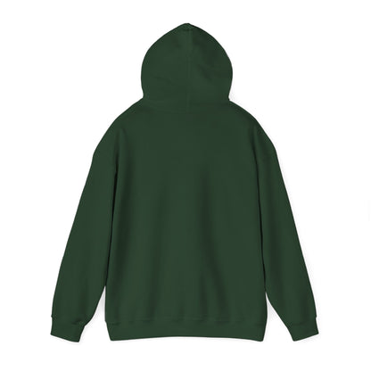Walking Each Other Home Unisex Hoodie | Ram Dass Quote Hooded Sweatshirt | The Collective Flame Fund Collection