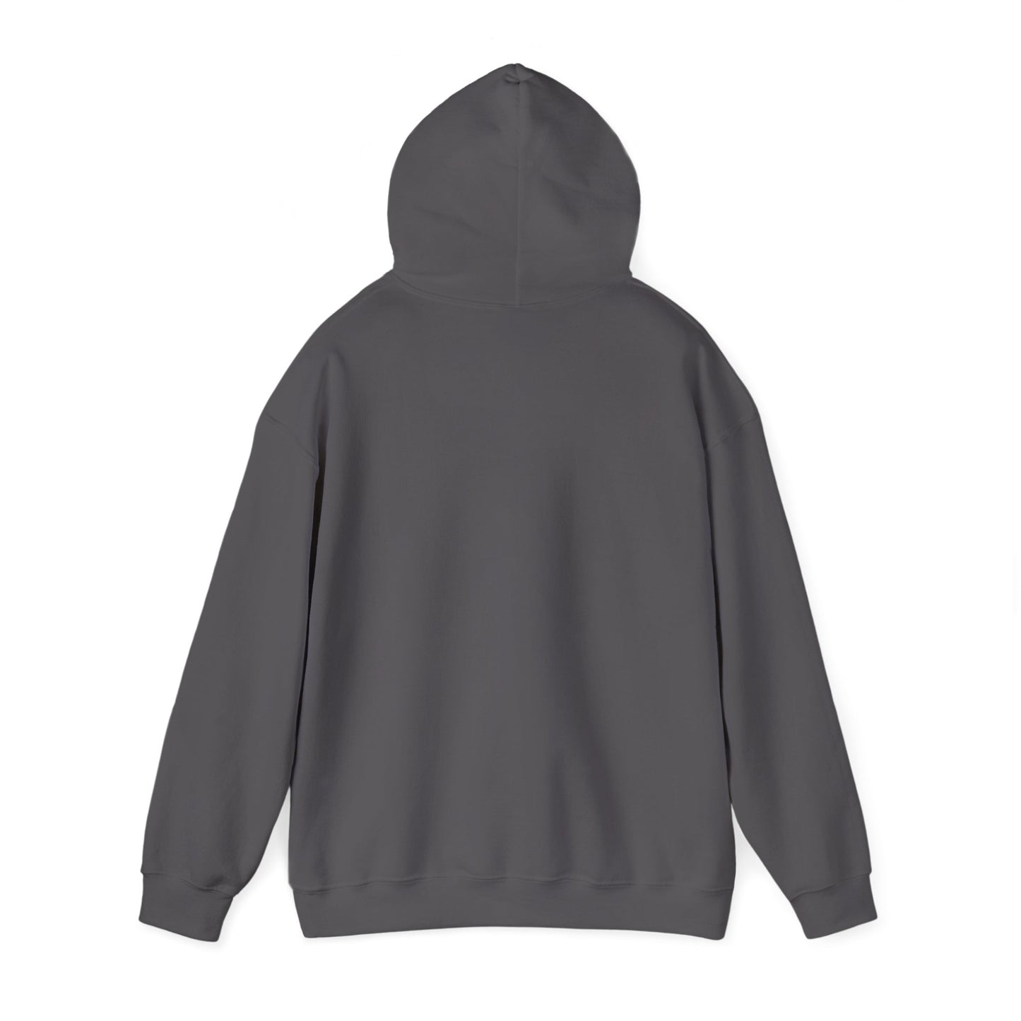 Walking Each Other Home Unisex Hoodie | Ram Dass Quote Hooded Sweatshirt | The Collective Flame Fund Collection