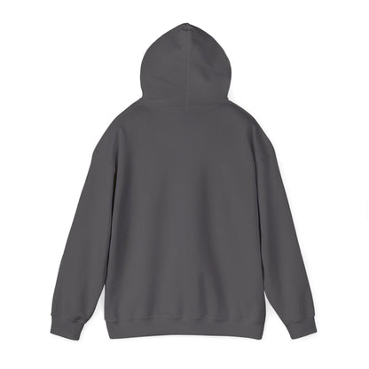 Walking Each Other Home Unisex Hoodie | Ram Dass Quote Hooded Sweatshirt | The Collective Flame Fund Collection