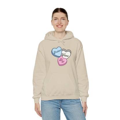 Protect Trans Joy Unisex Hoodie | Trans Pride & Solidarity Collection